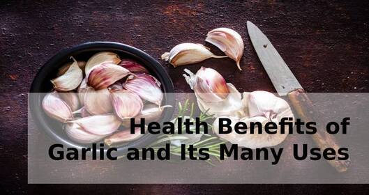 Health Benefits of Garlic and Its Many Uses
